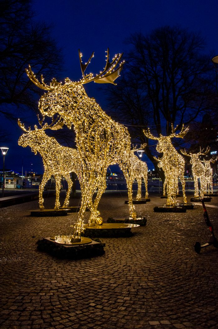 Bright reindeer decorations light up a Stockholm street in winter, creating a festive night ambiance.