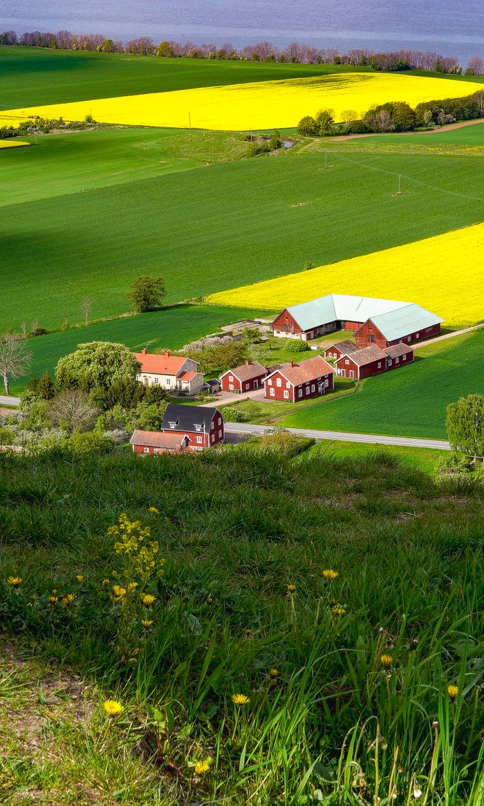 A vibrant view of Swedish farms and fields in Jönköpings län, Sweden with colorful landscapes.